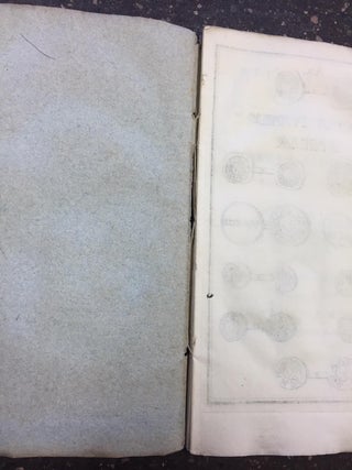 DELL' ORIGINE E DELLA ANTICHITA DELLA MONETA VINIZIANA RAGIONAMENTO.