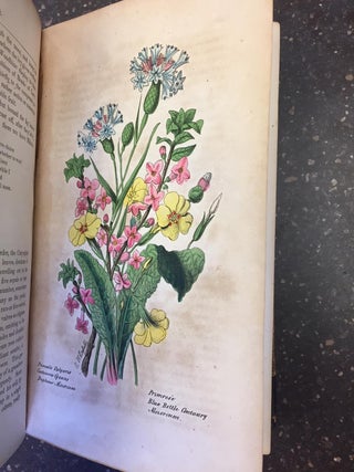 THE ILLUSTRATED BOTANY. [TWO VOLUMES BOUND AS ONE]