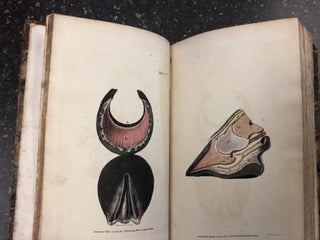 A COMPENDIUM OF THE VETERINARY ART; CONTAINING AN ACCURATE DESCRIPTION OF ALL THE DISEASES TO WHICH THE HORSE IS LIABLE