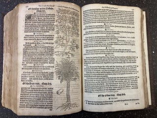 A NIEWE HERBALL, OR HISTORIE OF PLANTES: WHERIN IS CONTAYNED THE WHOLE DISCOURSE AND PERFECT DESCRIPTION OF ALL SORTES OF HERBES AND PLANTES [CRUYDEBOECK]