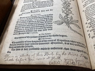 A NIEWE HERBALL, OR HISTORIE OF PLANTES: WHERIN IS CONTAYNED THE WHOLE DISCOURSE AND PERFECT DESCRIPTION OF ALL SORTES OF HERBES AND PLANTES [CRUYDEBOECK]