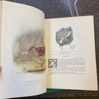 THE NATURAL HISTORY OF SELBORNE [TWO VOLUMES]