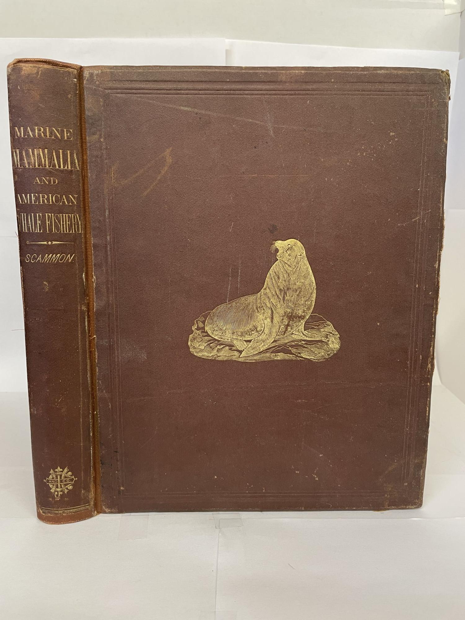 1349864 THE MARINE MAMMALS OF THE NORTH-WESTERN COAST OF NORTH AMERICA, DESCRIBED AND ILLUSTRATED: TOGETHER WITH AN ACCOUNT OF THE AMERICAN WHALE-FISHERY. Charles M. Scammon.