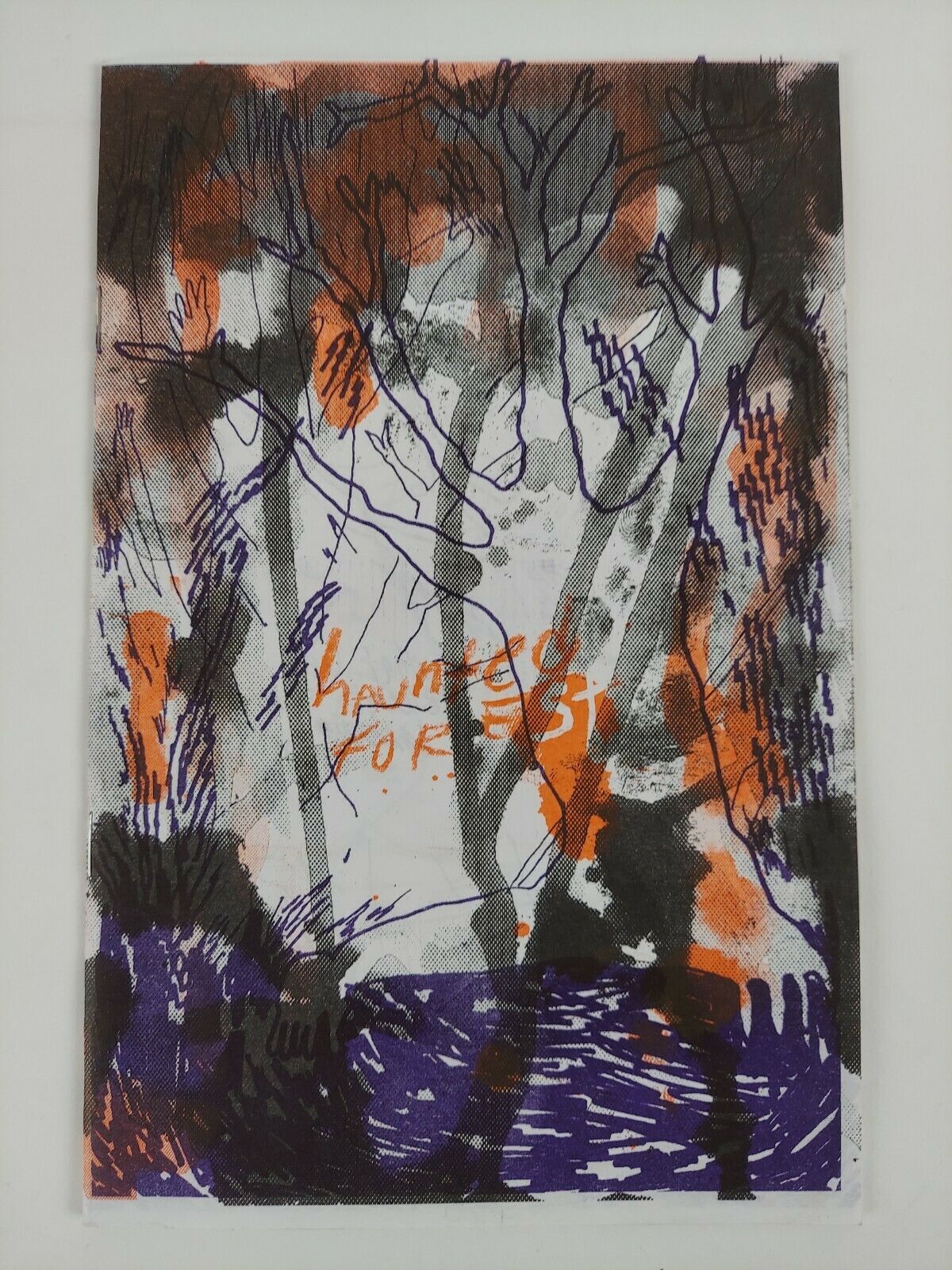 1353377 Haunted Forest. Mickey Zacchilli.