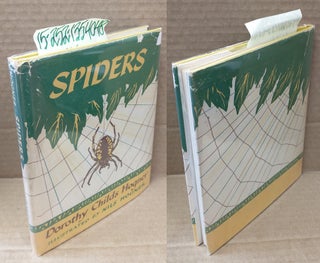 1354048 Spiders. Dorothy Childs Hogner, Nils Hogner