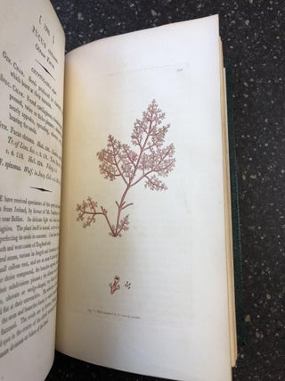 1354562 ENGLISH BOTANY; OR, COLOURED FIGURES OF BRITISH PLANTS, WITH THEIR ESSENTIAL CHARACTERS,...