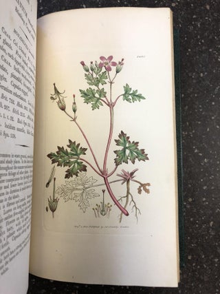 1354563 ENGLISH BOTANY; OR, COLOURED FIGURES OF BRITISH PLANTS, WITH THEIR ESSENTIAL CHARACTERS,...