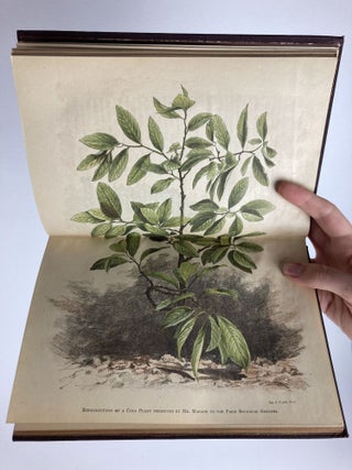 COCA AND ITS THERAPEUTIC APPLICATION: WITH ILLUSTRATIONS (INSCRIBED)