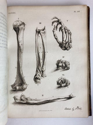 ENGRAVINGS OF THE BONES, MUSCLES AND JOINTS, ILLUSTRATING THE FIRST VOLUME OF THE ANATOMY OF THE HUMAN BODY