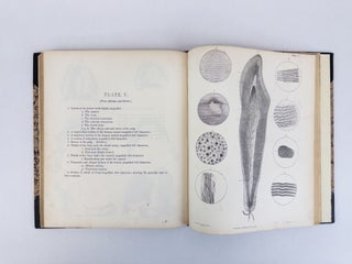THE ANATOMY, PHYSIOLOGY AND PATHOLOGY OF THE HUMAN TEETH; WITH THE MOST APPROVED METHODS OF TREATMENT; INCLUDING OPERATIONS, AND THE METHOD OF MAKING AND SETTING ARTIFICIAL TEETH. WITH THIRTY PLATES.
