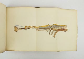 OBSERVATIONS ON THE STRUCTURE AND DISEASES OF THE TESTIS