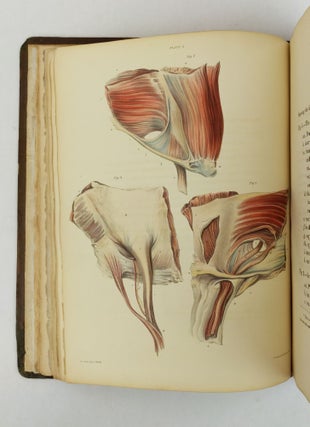 OBSERVATIONS ON THE STRUCTURE AND DISEASES OF THE TESTIS
