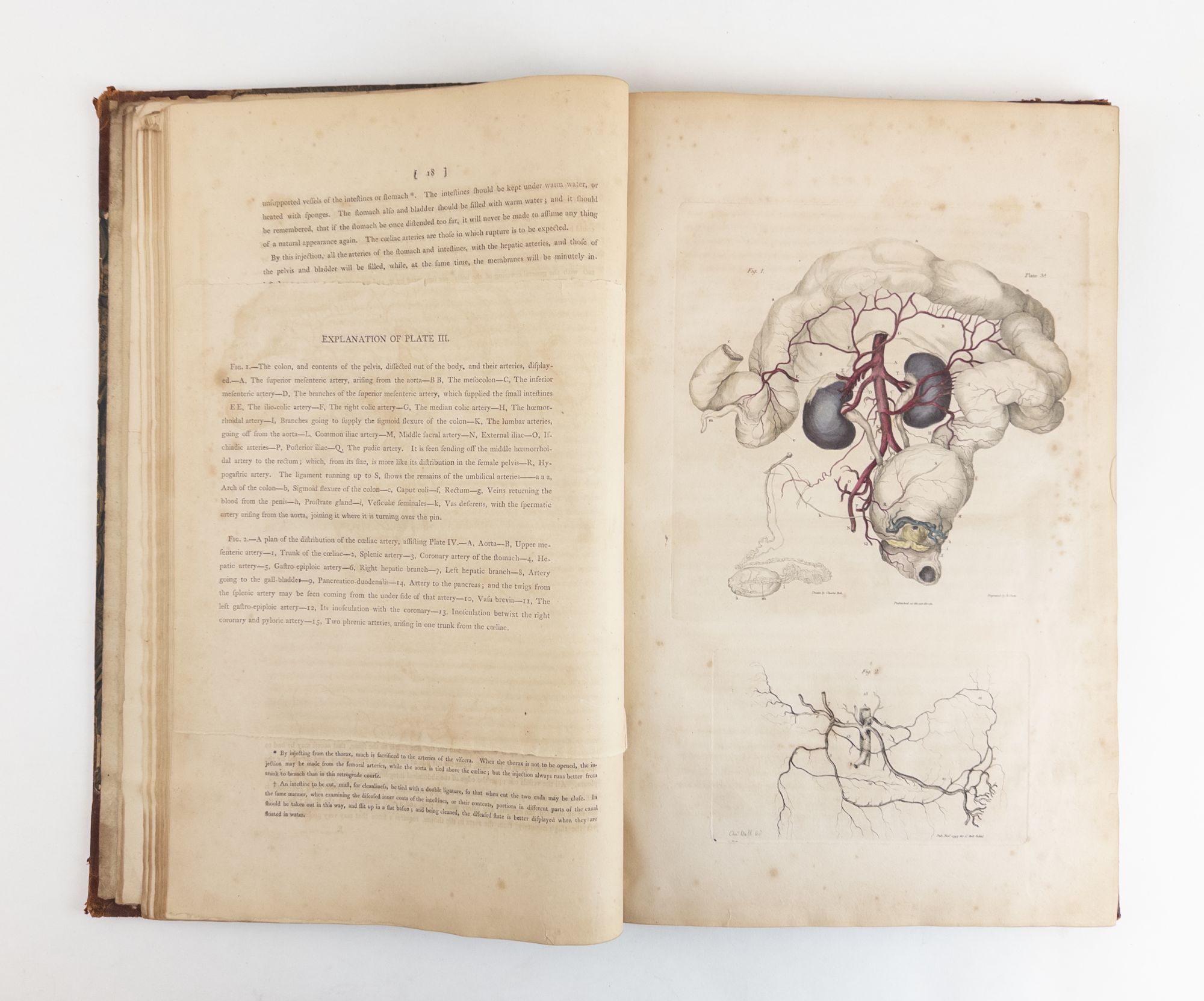 A SYSTEM OF DISSECTIONS, EXPLAINING THE ANATOMY OF THE HUMAN BODY, THE ...