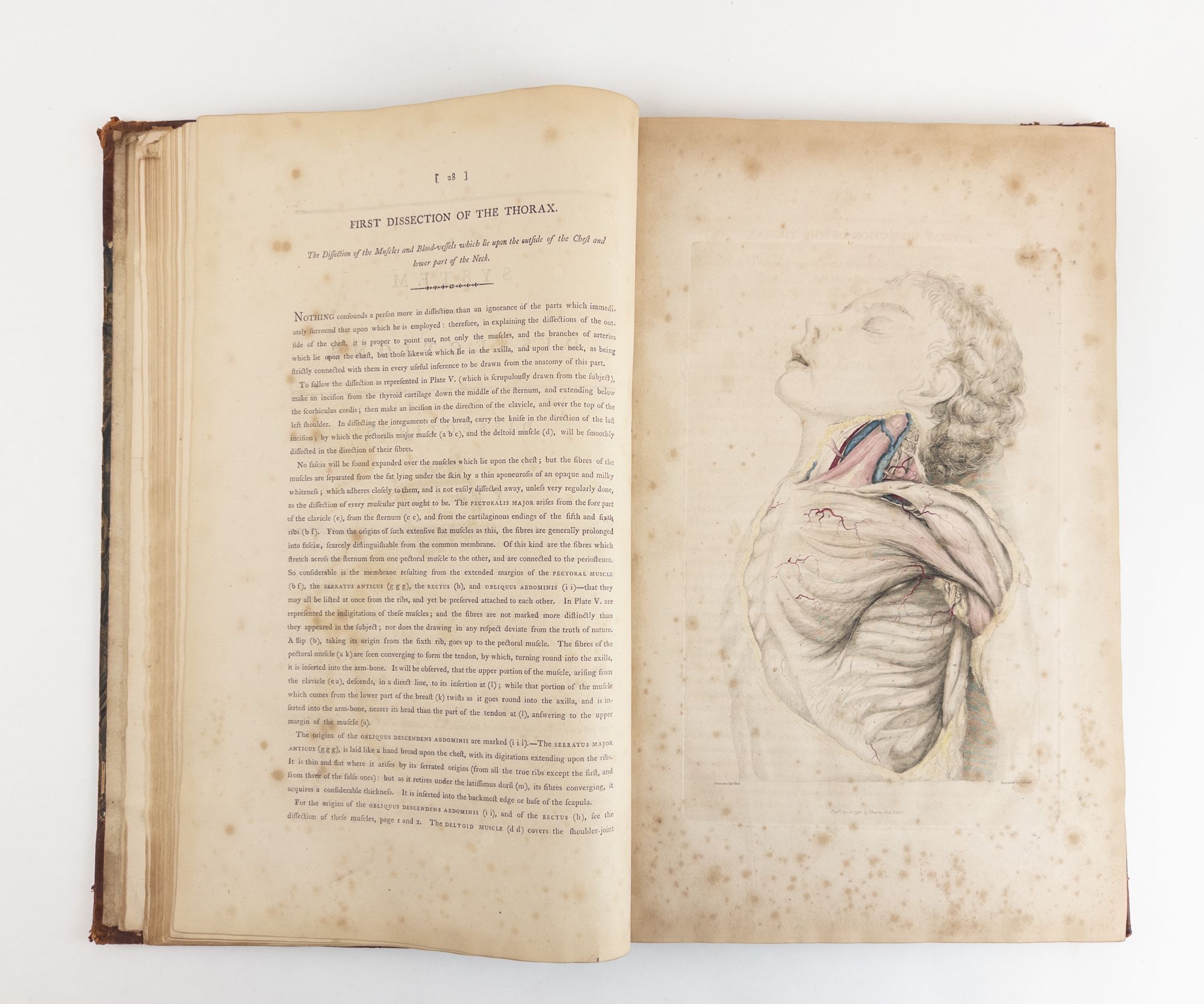 A SYSTEM OF DISSECTIONS, EXPLAINING THE ANATOMY OF THE HUMAN BODY, THE ...