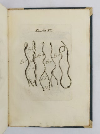 OPERE DI FRANCESCO REDI GENTILUOMO ARETINO, E ACCADEMICO DELLA CRUSCA. IN QUESTA NUOVA EDIZIONE ACCRESCIUTE, E MIGLIORATE [Three Volumes]