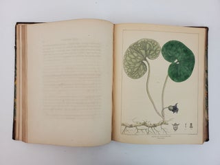 VEGETABLE MATERIA MEDICA OF THE UNITED STATES; OR MEDICAL BOTANY: CONTAINING A BOTANICAL GENERAL, AND MEDICAL HISTORY, OF MEDICINAL PLANTS INDIGENOUS TO THE UNITED STATES. ILLUSTRATED BY COLOURED ENGRAVINGS, MADE AFTER. ORIGINAL DRAWINGS FROM NATURE, DONE BY THE AUTHOR