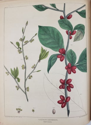 VEGETABLE MATERIA MEDICA OF THE UNITED STATES; OR MEDICAL BOTANY: CONTAINING A BOTANICAL GENERAL, AND MEDICAL HISTORY, OF MEDICINAL PLANTS INDIGENOUS TO THE UNITED STATES. ILLUSTRATED BY COLOURED ENGRAVINGS, MADE AFTER. ORIGINAL DRAWINGS FROM NATURE, DONE BY THE AUTHOR