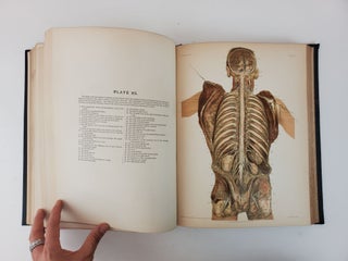 REGIONAL ANATOMY IN ITS RELATION TO MEDICINE AND SURGERY. ILLUSTRATED FROM PHOTOGRAPHS TAKEN BY THE AUTHOR OF HIS OWN DISSECTIONS, EXPRESSLY DESIGNED AND PREPARED FOR THIS WORK, AND COLORED BY HIM AFTER NATURE. IN TWO VOLUMES