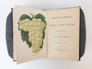 OUR NATIVE GRAPE. GRAPES AND THEIR CULTURE. ALSO, DESCRIPTIVE LIST OF OLD AND NEW VARIETIES