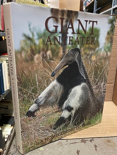 1359586 GIANT ANTEATER : A HOMECOMING TO IBERA