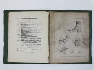 THE ANATOMY AND PHYSIOLOGY OF THE LIVER