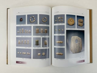 REPORTS OF THE GROUP SITES AT LIANGZHU, VOLUME 1: YAOSHAN
