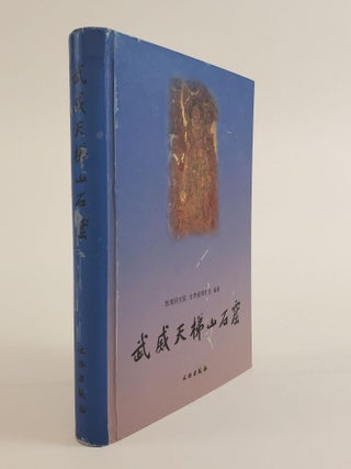 1363283 THE GROTTOES IN THE TIANTI MOUNTAIN, WUWEI. Dunhuang Academy, Cansu Provincial Museum,...