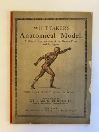 1367487 WHITTAKER'S ANATOMICAL MODEL: A PICTORIAL REPRESENTATION OF THE HUMAN FRAME AND ITS...