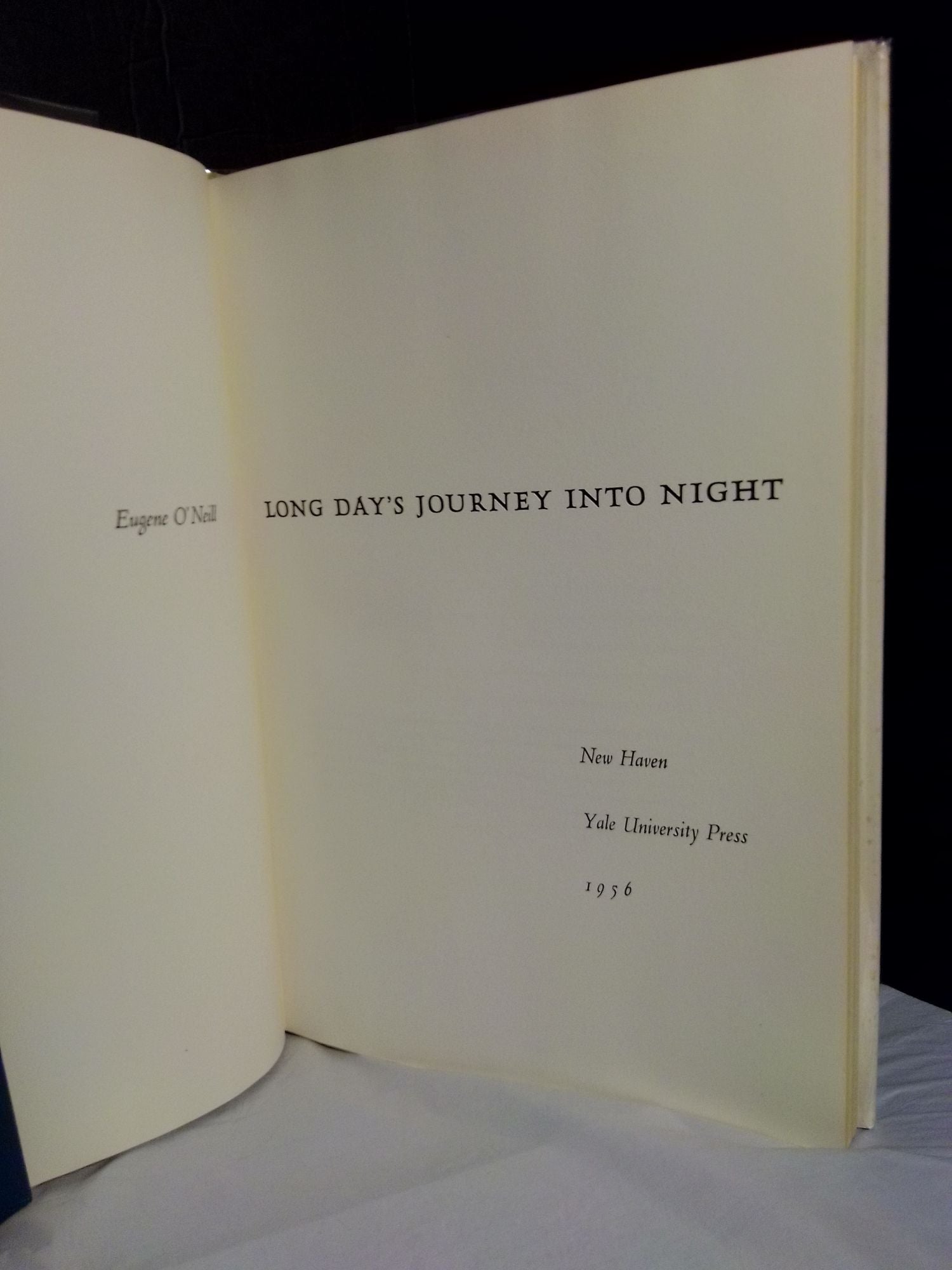 essay topics long day's journey into night