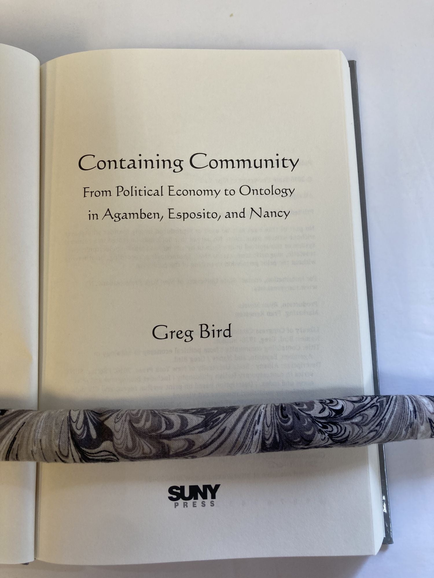 Containing Community: From Political Economy to Ontology in