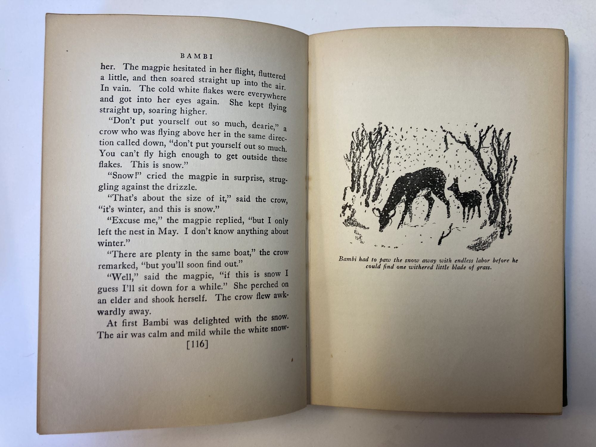 BAMBI: A LIFE IN THE WOODS | Felix Salten, John Galaworthy, Whittaker  Chambers, Kurt Wiese | First English Language Edition, First Printing