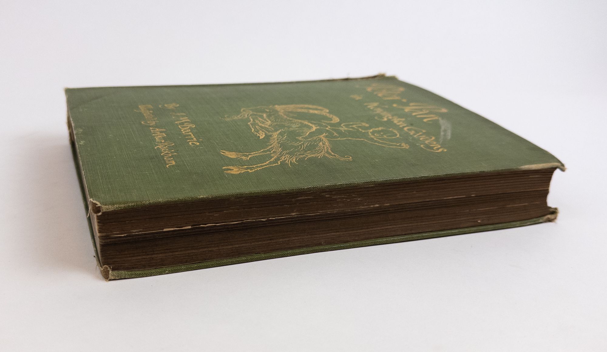 PETER PAN IN KENSINGTON GARDENS | J. M. Barrie, Arthur Rackham