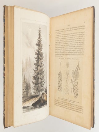 REPORTS OF EXPLORATIONS AND SURVEYS, TO ASCERTAIN THE MOST PRACTICABLE AND ECONOMICAL ROUTE FOR A RAILROAD FROM THE MISSISSIPPI RIVER TO THE PACIFIC OCEAN VOLUME VI