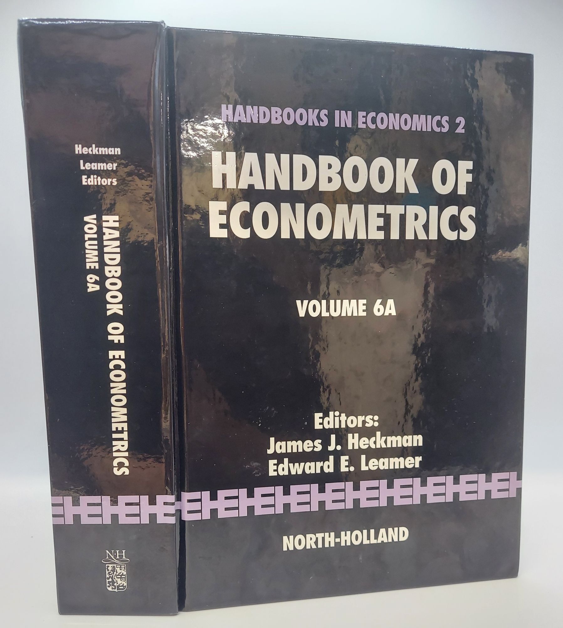 ビジネス・経済 Handbook of Econometrics Volume 6B HANDBOOK OF ECONOMETRICS VOLUME 6A | James J. Heckman, Edward E