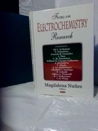 1379769 FOCUS ON ELECTROCHEMISTRY RESEARCH. Magdalena Nunez