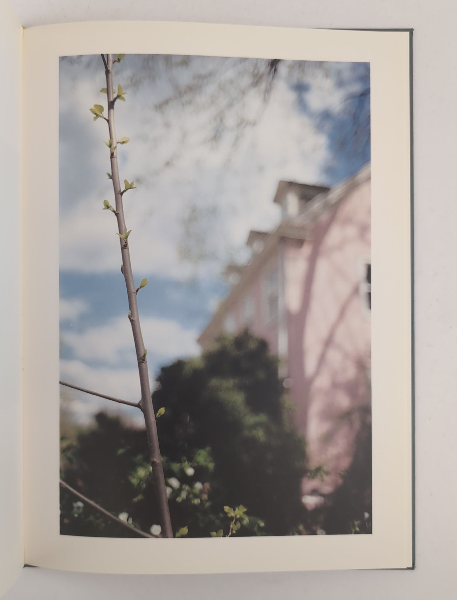 IN YOUR DREAMS | Terri Weifenbach | First Edition, 255/500 copies