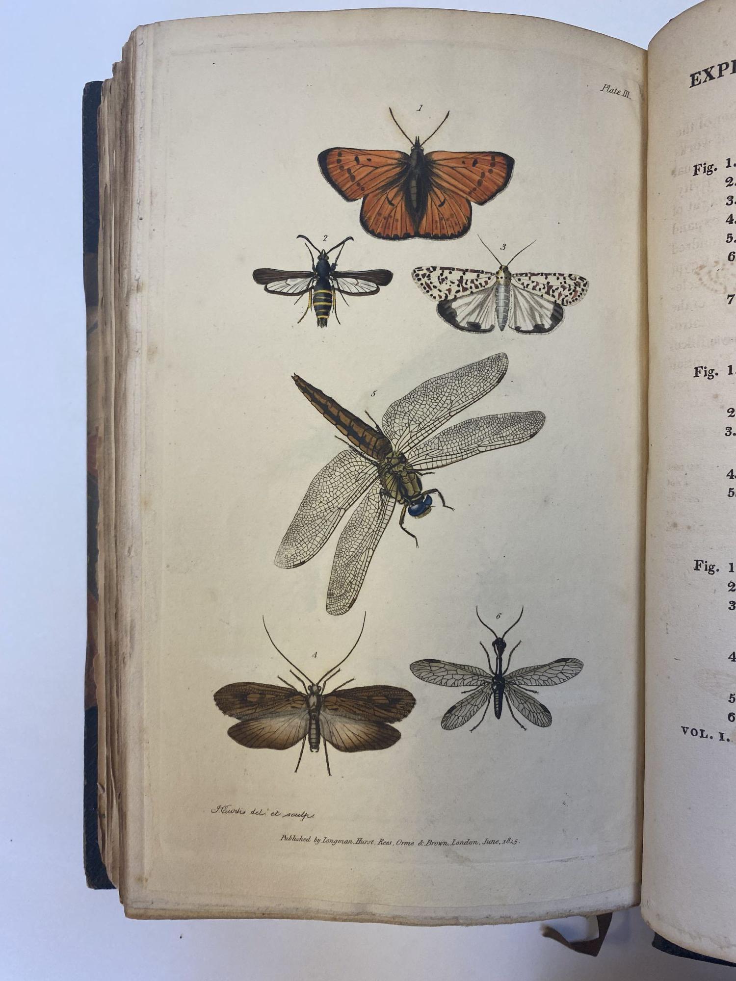 AN INTRODUCTION TO ENTOMOLOGY: OR ELEMENTS OF THE NATURAL HISTORY OF ...