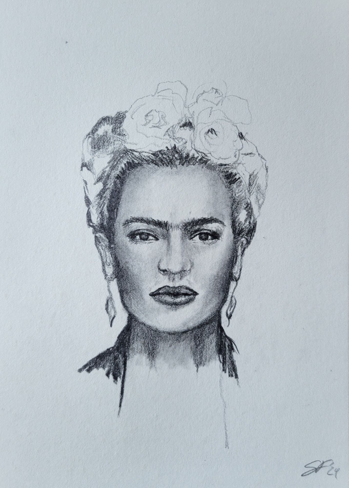 1382579 FRIDA. Sarah Frickle.