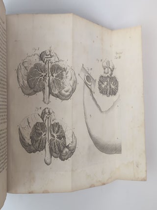 MEDICAL, CHIRURGICAL, AND ANATOMICAL CASES AND OBSERVATIONS