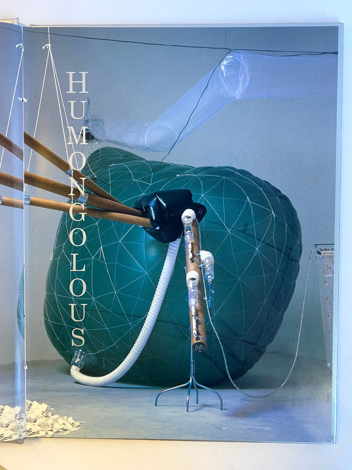 HUMONGOLOUS and HUMUNCULUS Two Volumes | Tim Hawkinson, Charles ...