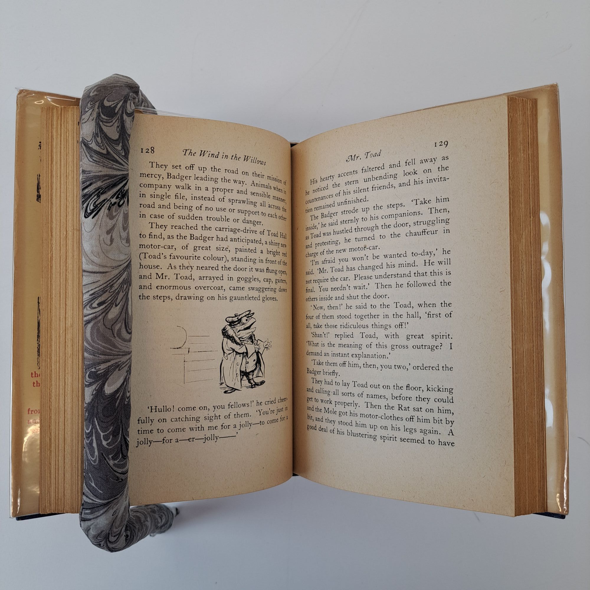 THE WIND IN THE WILLOWS | Kenneth Grahame, Ernest H. Shepard | First ...