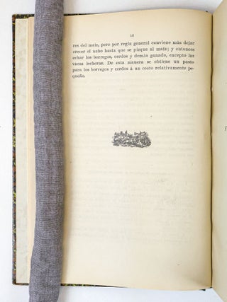 EL A.B.C. DEL CULTIVO DEL MAIZ