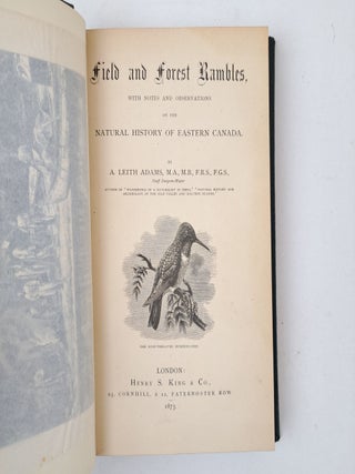 FIELD AND FOREST RAMBLES, WITH NOTES AND OBSERVATIONS ON THE NATURAL HISTORY OF EASTERN CANADA