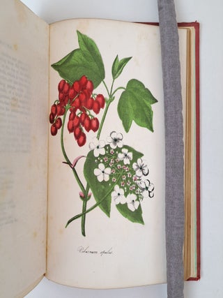THE FLORAL KEEPSAKE, WITH THIRTY ENGRAVINGS ELEGANTLY COLORED FROM NATURE