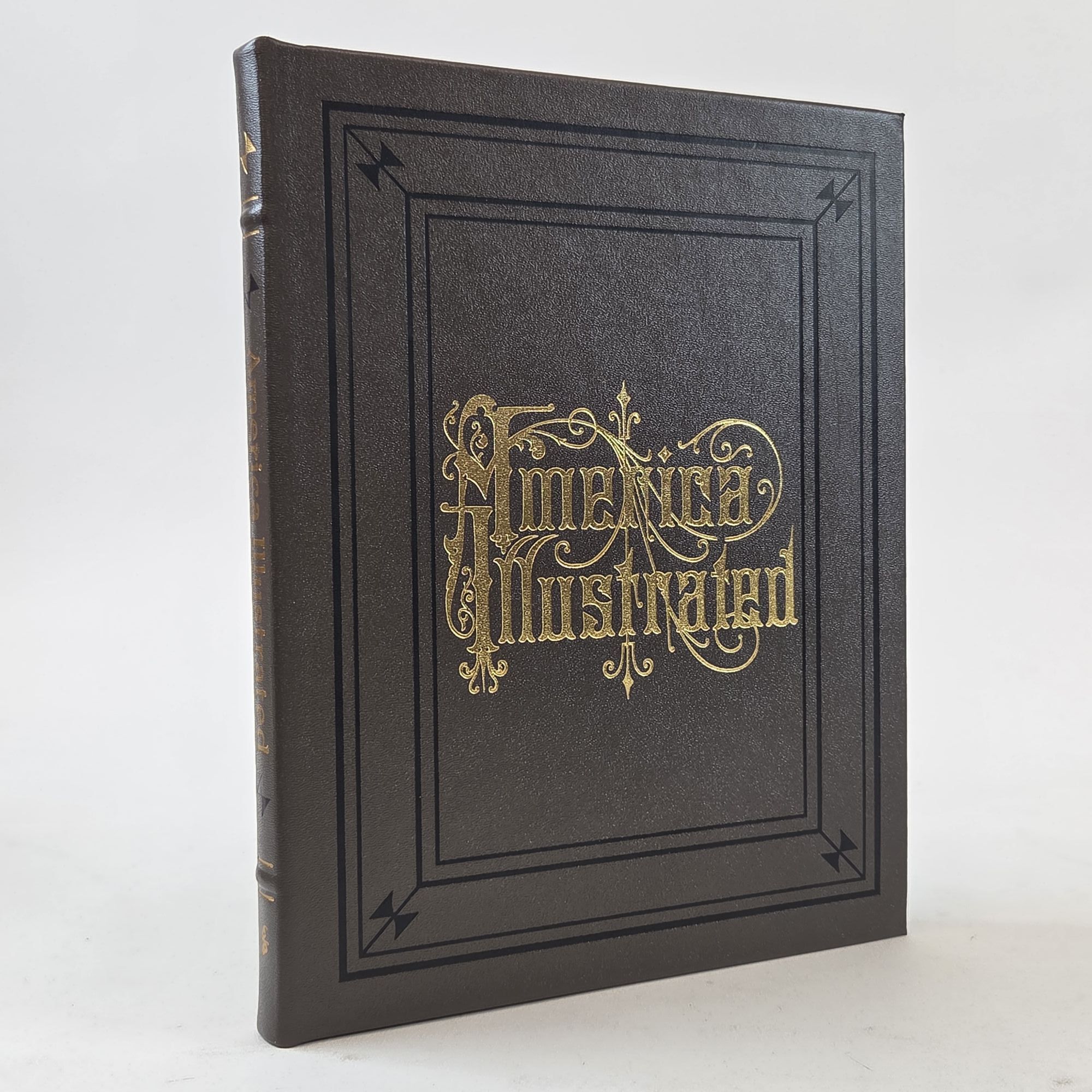 1405794 AMERICA ILLUSTRATED. J. David Williams.