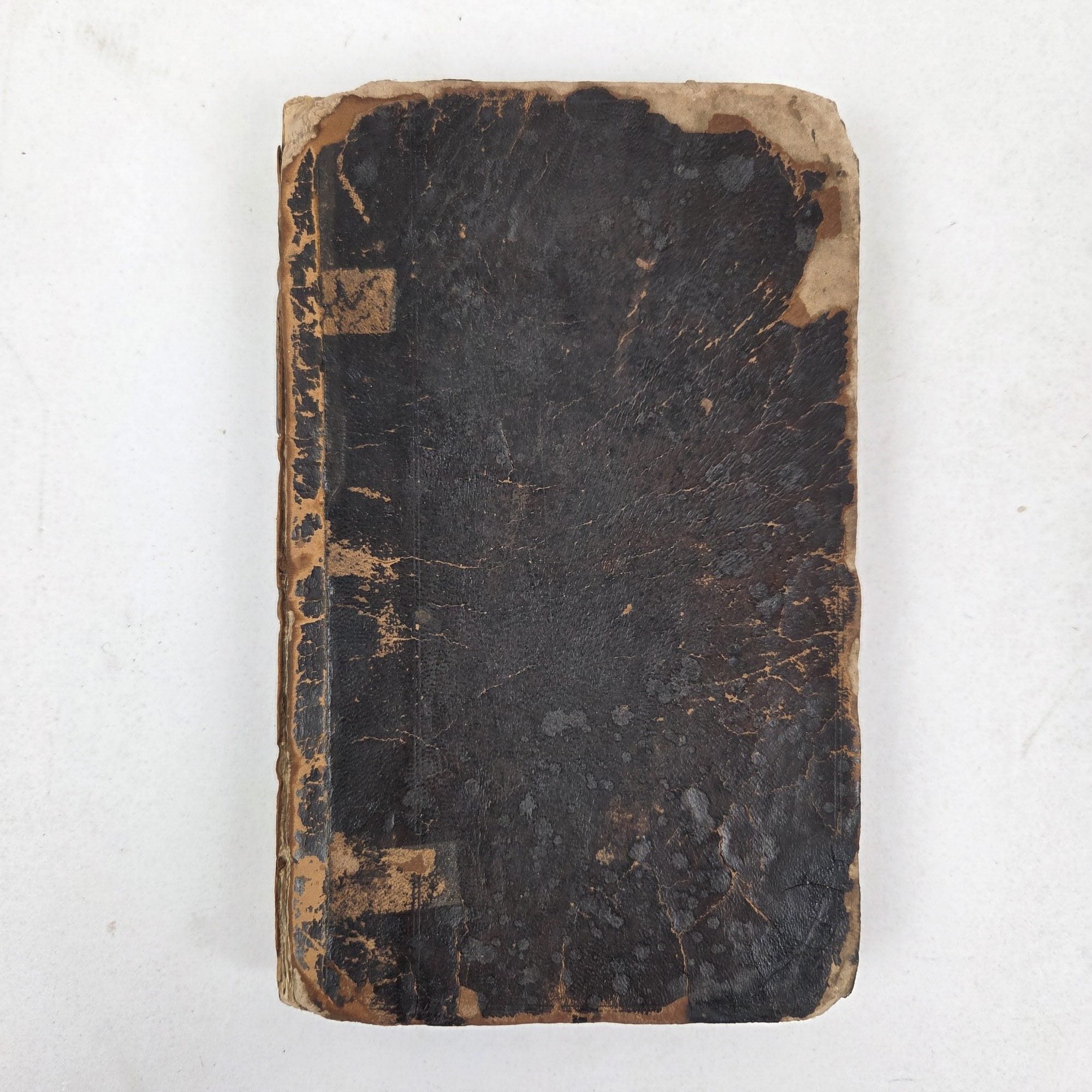 1409275 INTRODUCTIO AD LATINAM BLASONIAM : AN ESSAY TO A MORE CORRECT BLASON IN LATINE THAN FORMERLY HATH BEEN USED [...]. Johanne Gibbono.