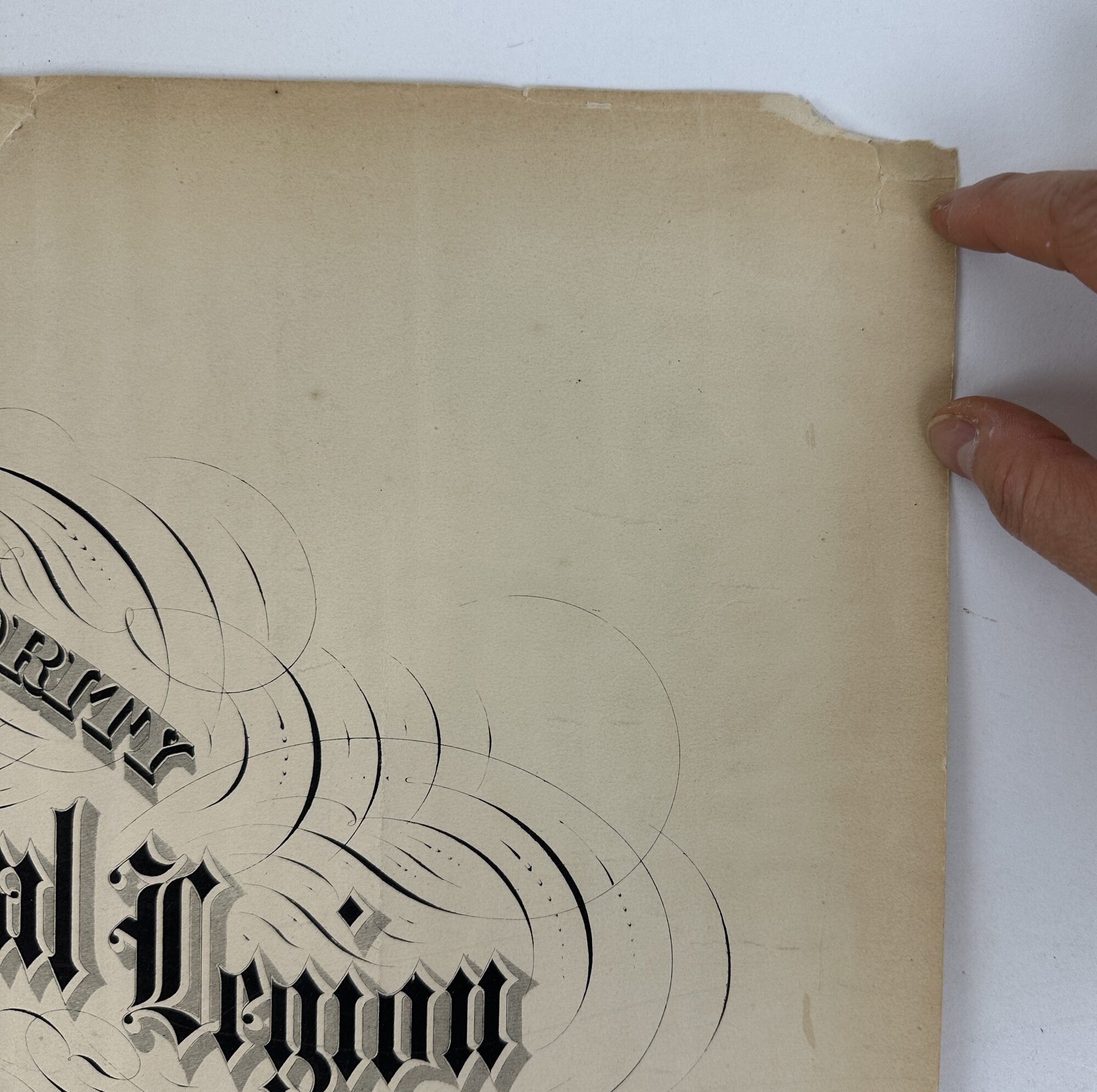 ORIGINAL MEMBERSHIP CERTIFICATE MILITARY ORDER OF THE LOYAL LEGION OF ...