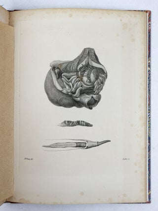 MEMOIR ON THE PEARLY NAUTILUS (NAUTILUS POMPILIUS, LINN.) WITH ILLUSTRATIONS OF ITS EXTERNAL FORM AND INTERNAL STRUCTURE.