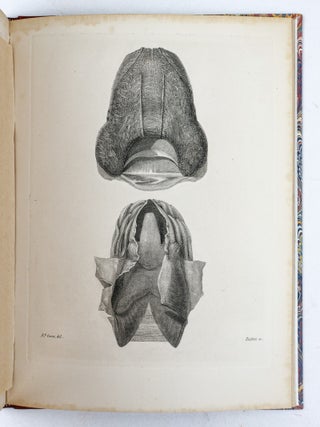 MEMOIR ON THE PEARLY NAUTILUS (NAUTILUS POMPILIUS, LINN.) WITH ILLUSTRATIONS OF ITS EXTERNAL FORM AND INTERNAL STRUCTURE.
