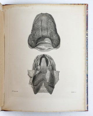 MEMOIR ON THE PEARLY NAUTILUS (NAUTILUS POMPILIUS, LINN.) WITH ILLUSTRATIONS OF ITS EXTERNAL FORM AND INTERNAL STRUCTURE.